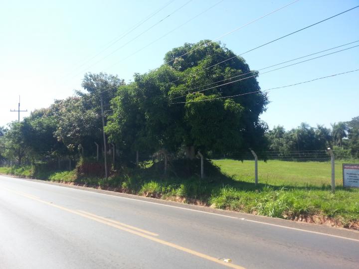 128 mts de frente sobre ruta